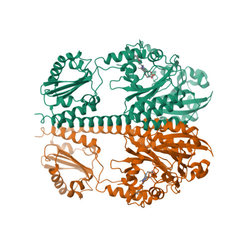 RCSB PDB - 4H6R: Structure of reduced Deinococcus radiodurans