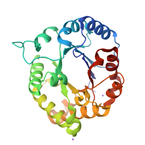 リスページ Simply 45 Cat5e Pass-Thru RJ45 Connectors - 500pc