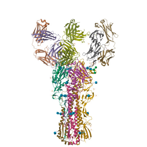 HBc-based virus-like particle assembly from inclusion bodies using  2-methyl-2, 4-pentanediol - ScienceDirect