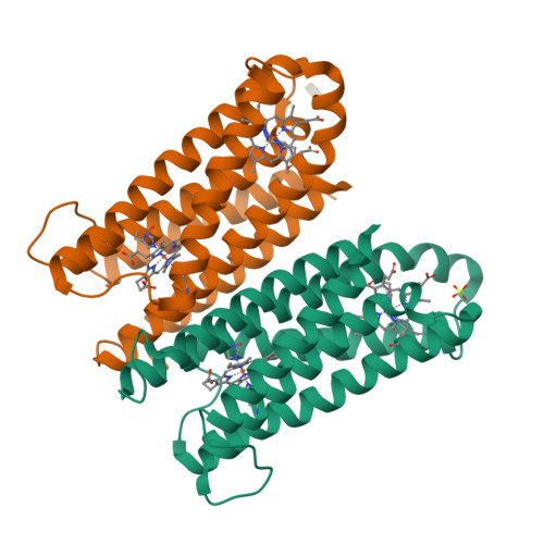 RCSB PDB - 4O79: Crystal Structure of Ascorbate-bound Cytochrome b561 ...