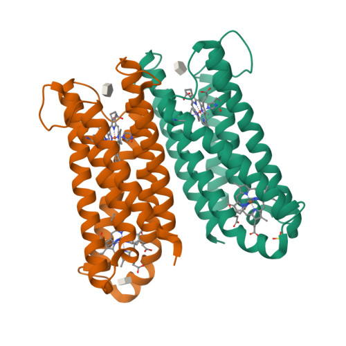 RCSB PDB - 4O7G: Crystal Structure of Ascorbate-bound Cytochrome b561 ...