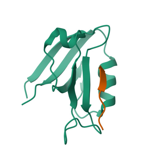 5-hydroxytryptamine receptor 2A structure