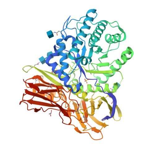 Iduronidate RCSB PDB - 4OBS: Crystal structure of human alpha-L-iduronidase in the ...