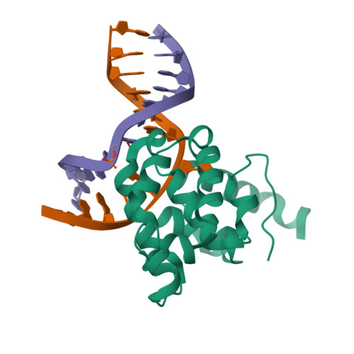 RCSB PDB - 4OFH: Structural basis for thymine glycosylase activity on T ...