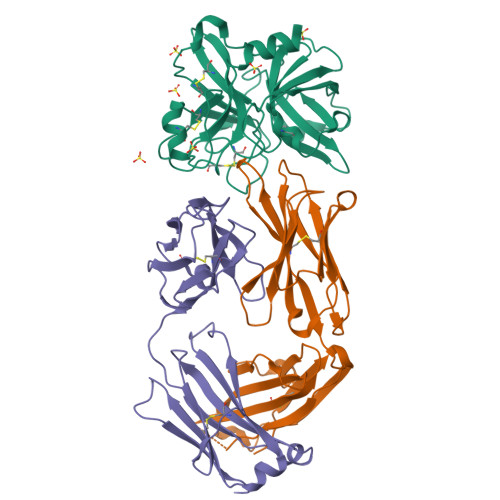 【g-rapダメージあり】OG CELL-E-CELL【OG盤】 RCSB PDB - 4OGX: Crystal structure of Fab DX-2930 in complex with