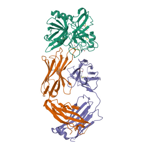 3D molecular structure of lanadelumab-flyo (PDB entry 4OGY)