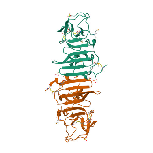 RCSB PDB - 4OIG: Dengue Virus Non-structural Protein NS1