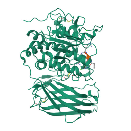 Rcsb Pdb Omd X Ray Structure Of Human Furin In Complex With The Competitive Inhibitor Phac