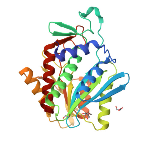 Rcsb Pdb Onw Crystal Structure Of The Catalytic Domain Of Dape Protein From V Cholerea