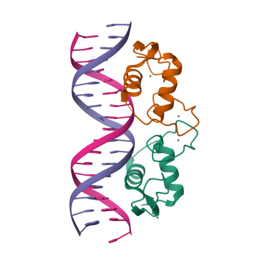 a mutation in the dna binding domain of a steroid