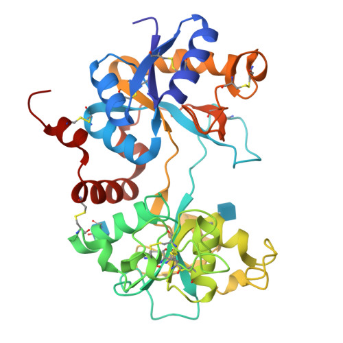 Rcsb Pdb - 4oqo: Crystal Structure Of The Tryptic Generated Iron-free C 