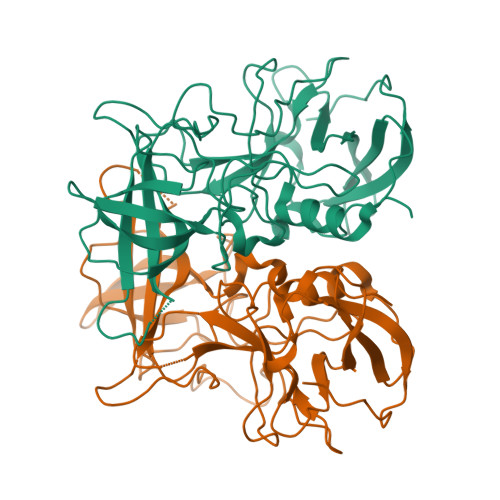 RCSB PDB - 4P12: Native Structure of the P domain from a GI.7 Norovirus ...