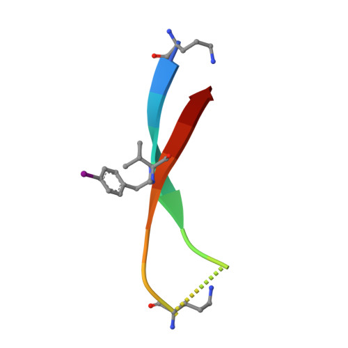 RCSB PDB - 4P4W: Dodecamer formed by a macrocyclic peptide derived from  beta-2-microglobulin (63-69) - (ORN)YLL(PHI)YTE(ORN)KVA(MVA)AVK