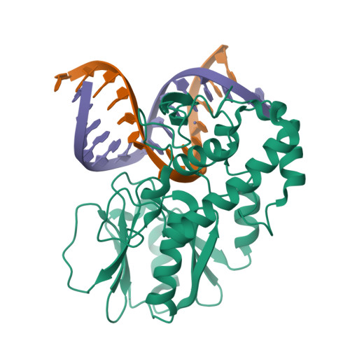 RCSB PDB - 4PD2: Crystal structure of a complex between a C248GH LlFpg ...