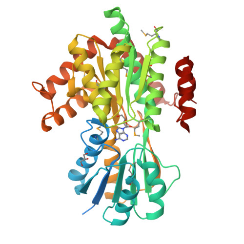 RCSB PDB - 4PEV: Crystal structure of ABC transporter system solute ...