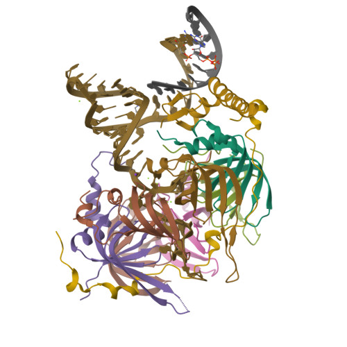 RCSB PDB - 4WZJ: Spliceosomal U4 snRNP core domain