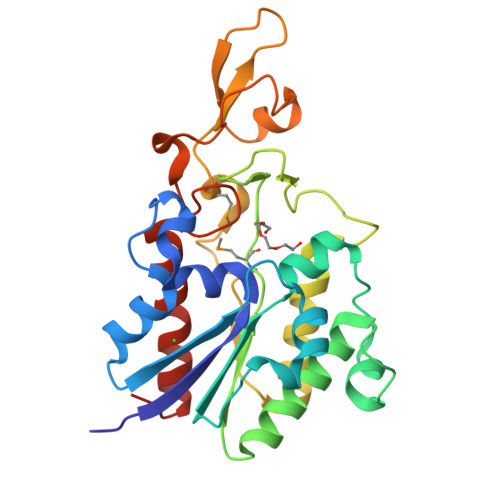 Distinction I〜Ⅳ、Structures RCSB PDB - 4Q7Q: The crystal structure of a possible lipase