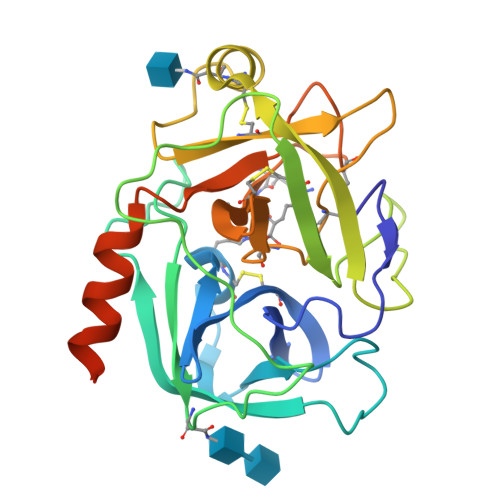 RCSB PDB - 4Q80: Neutrophil Serine Protease 4 (PRSS57) With Val-leu-lys ...