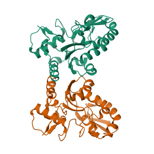 RCSB PDB - 4QCA: Crystal Structure Of Vaccinia Virus Uracil-DNA ...