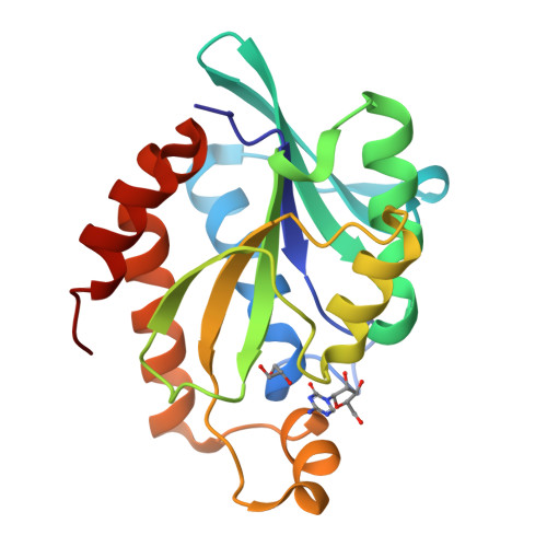 RCSB PDB - 4QD3: Crystal structure of Peptidyl-tRNA hydrolase from ...