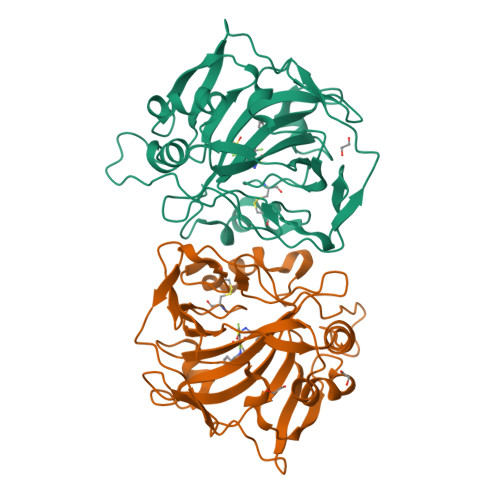 RCSB PDB - 4QJO: Crystal structure of catalytic domain of human ...