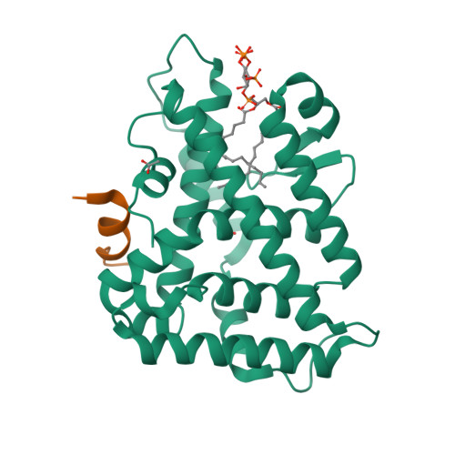 Rcsb Pdb 4qjr Crystal Structure Of Human Nuclear Receptor Sf 1 Nr5a1 Bound To Its Hormone Pip3 At 2 4 A Resolution