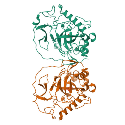 Rcsb Pdb Qlz The Structure Of Inorganic Pyrophosphatase From Schistosoma Japonicum