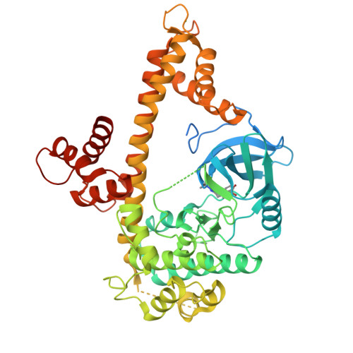 Calcium-dependent protein kinase 4 structure