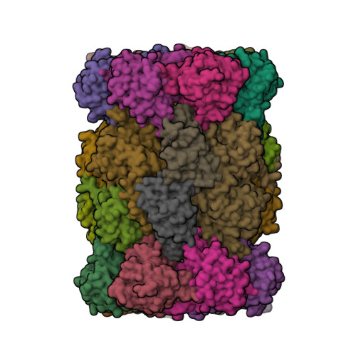 ととと RCSB PDB - 4QZX: yCP beta5-C63F mutant in complex with the