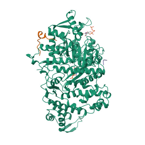 RCSB PDB - 4H6R: Structure of reduced Deinococcus radiodurans