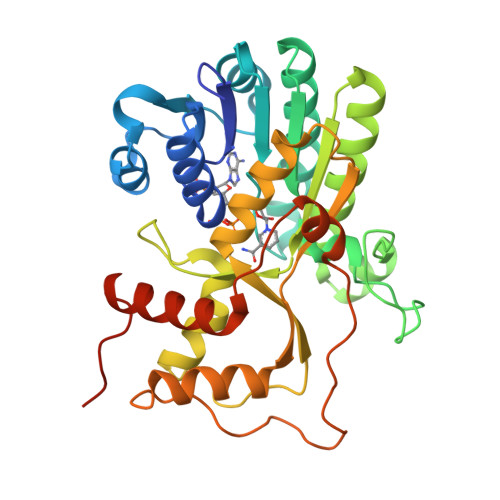 RCSB PDB - 4R1S: Crystal structure of Petunia hydrida cinnamoyl-CoA ...