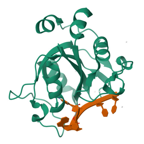 renページ RCSB PDB - 4R3I: The crystal structure of an RNA complex