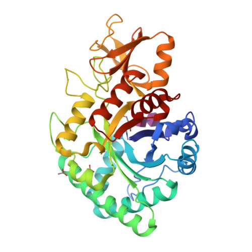 RCSB PDB - 4R5E: Crystal Structure of Family GH18 Chitinase from