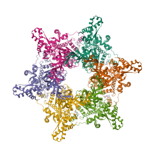 RCSB PDB - MCM Ligand Summary Page