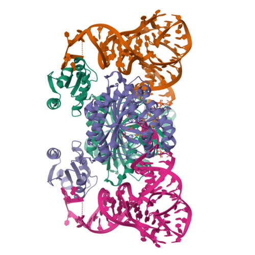 trna structure 3d