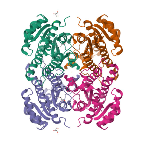 RCSB PDB - 4RF5: Crystal structure of ketoreductase from Lactobacillus ...