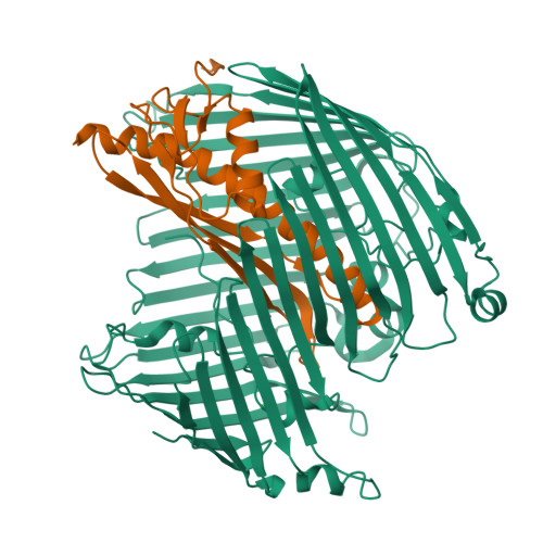 RCSB PDB - 4RHB: Crystal Structure Of The Lipopolysaccharide Assembly ...