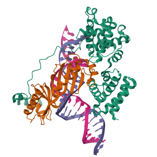 PDB 4ROC