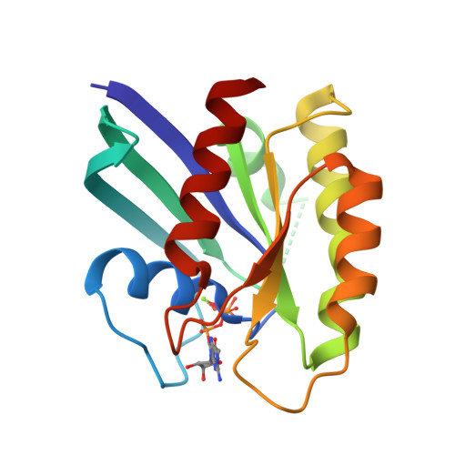 RCSB PDB - 4RSG: Neutron Crystal Structure Of Ras Bound To The GTP ...