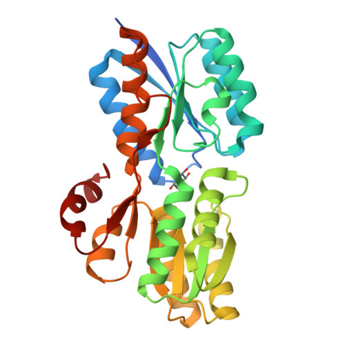 dm20素子4BS1 RCSB PDB - 4RU1: Crystal structure of carbohydrate