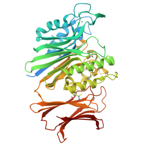 RCSB PDB - 4RUW: The crystal structure of endonuclease/exonuclease