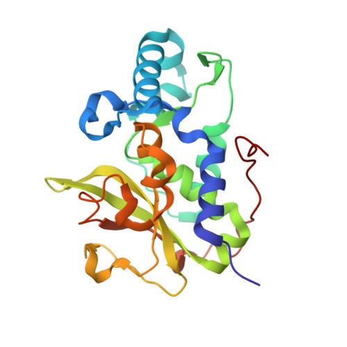 Rcsb Pdb Rxv The Crystal Structure Of The N Terminal Fragment Of Uncharacterized Protein