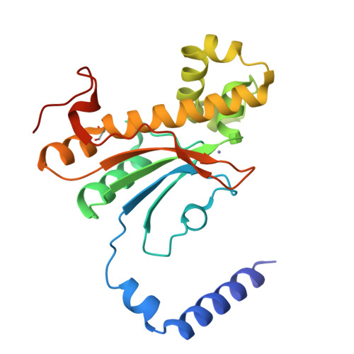Carbonic anhydrase structure