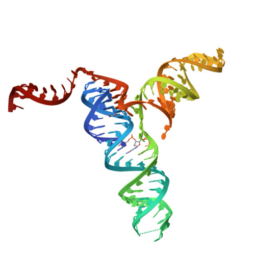 RCSB PDB - 4RZD: Crystal Structure of a PreQ1 Riboswitch