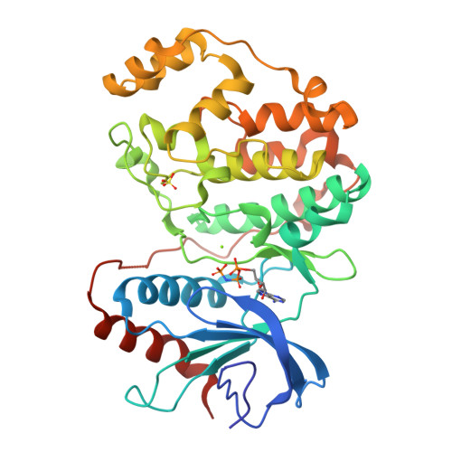 erkページ RCSB PDB - 4S34: ERK2 (I84A) in complex with AMP-PNP