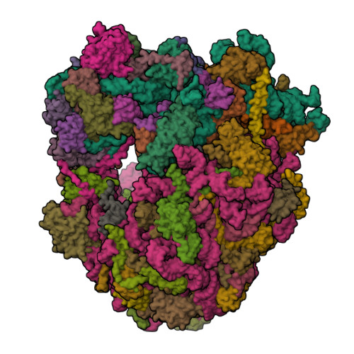 RCSB PDB - 4U50: Crystal structure of Verrucarin bound to the