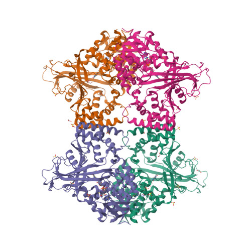 RCSB PDB - 4U8J: Structure of Aspergillus fumigatus UDP-Galactopyranose  mutase mutant Y104A