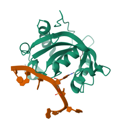 RCSB PDB - 4U8T: Crystal structure of YTH domain of Zygosaccharomyces ...