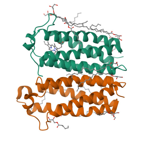 RCSB PDB - 4UC1: High resolution crystal structure of translocator ...