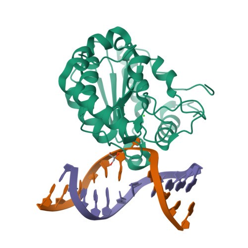 RCSB PDB 4UQM Crystal Structure Determination Of Uracil DNA N Glycosylase UNG From